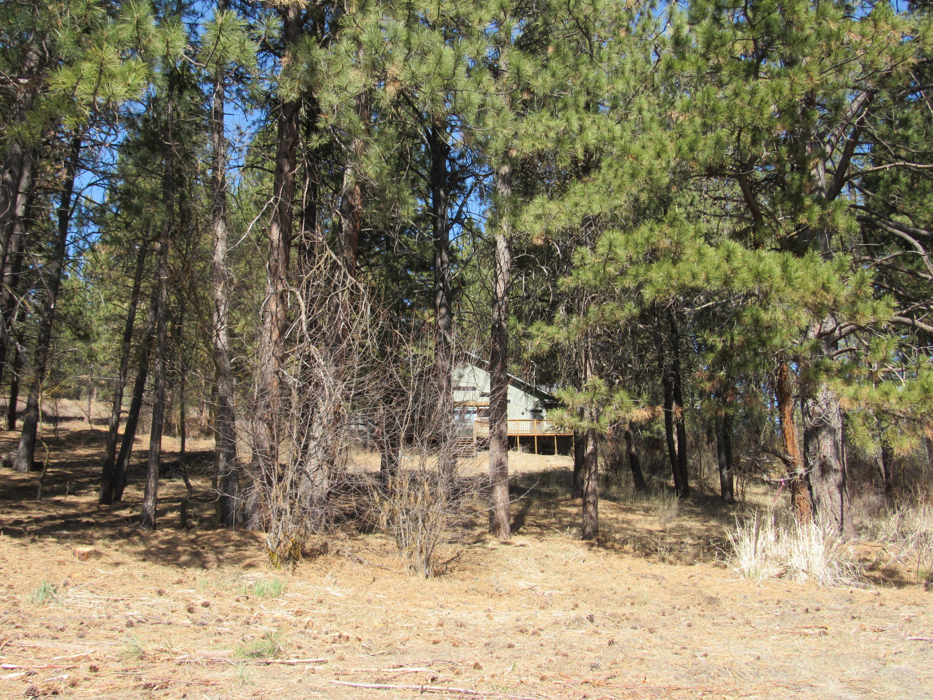Williamson River Pines - Residential