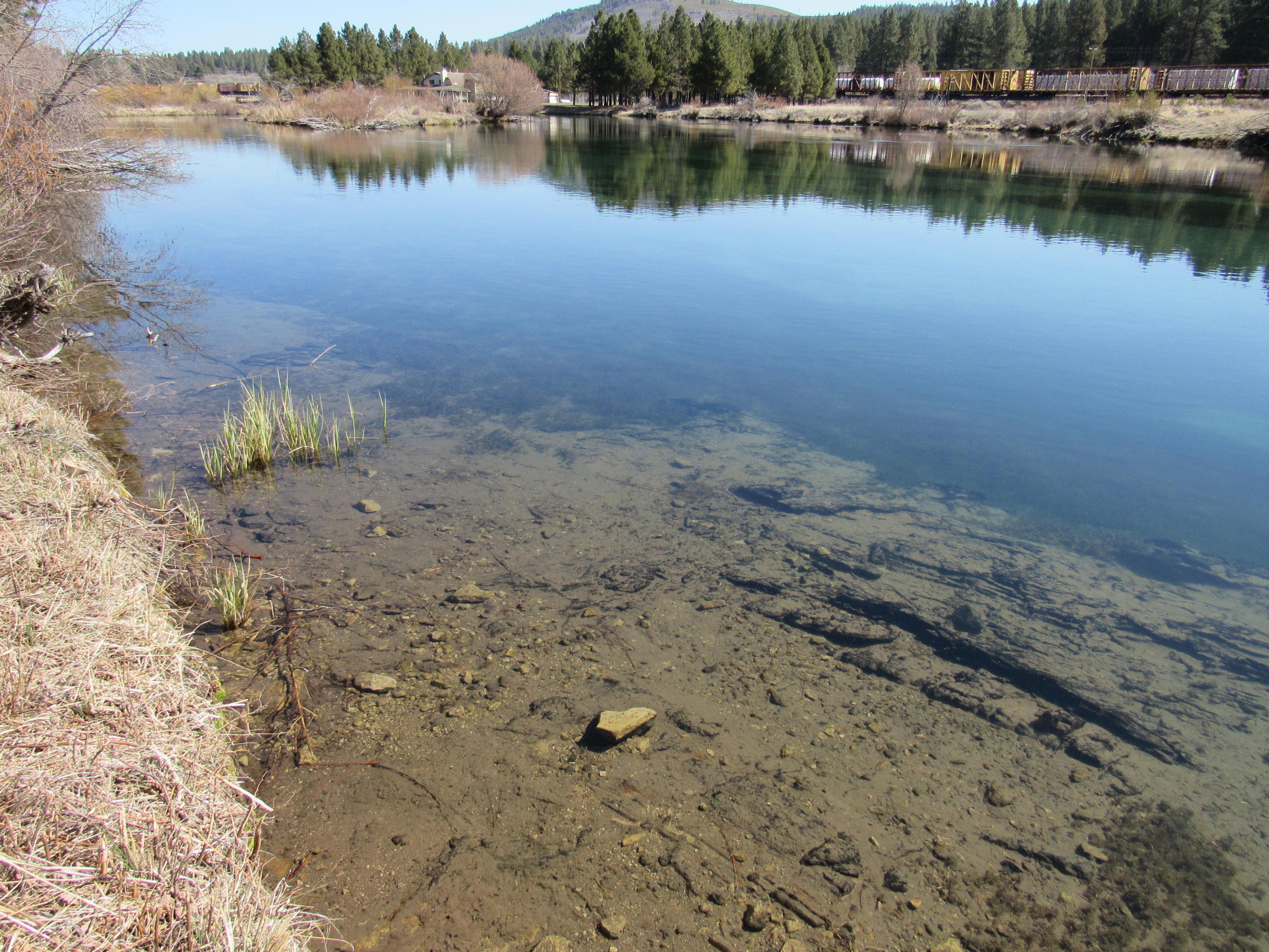 Williamson River Pines - Residential