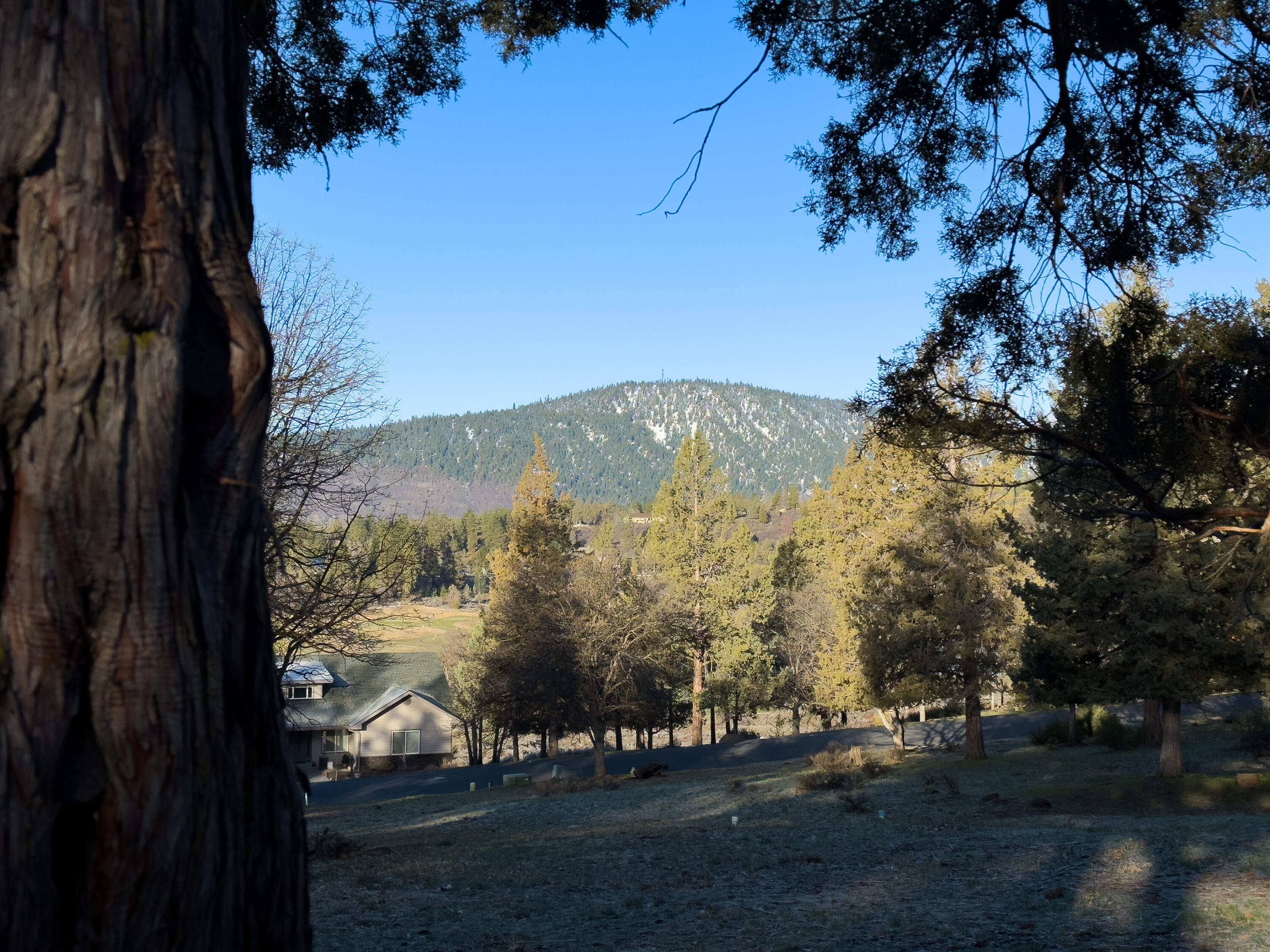 Running YResort - Land