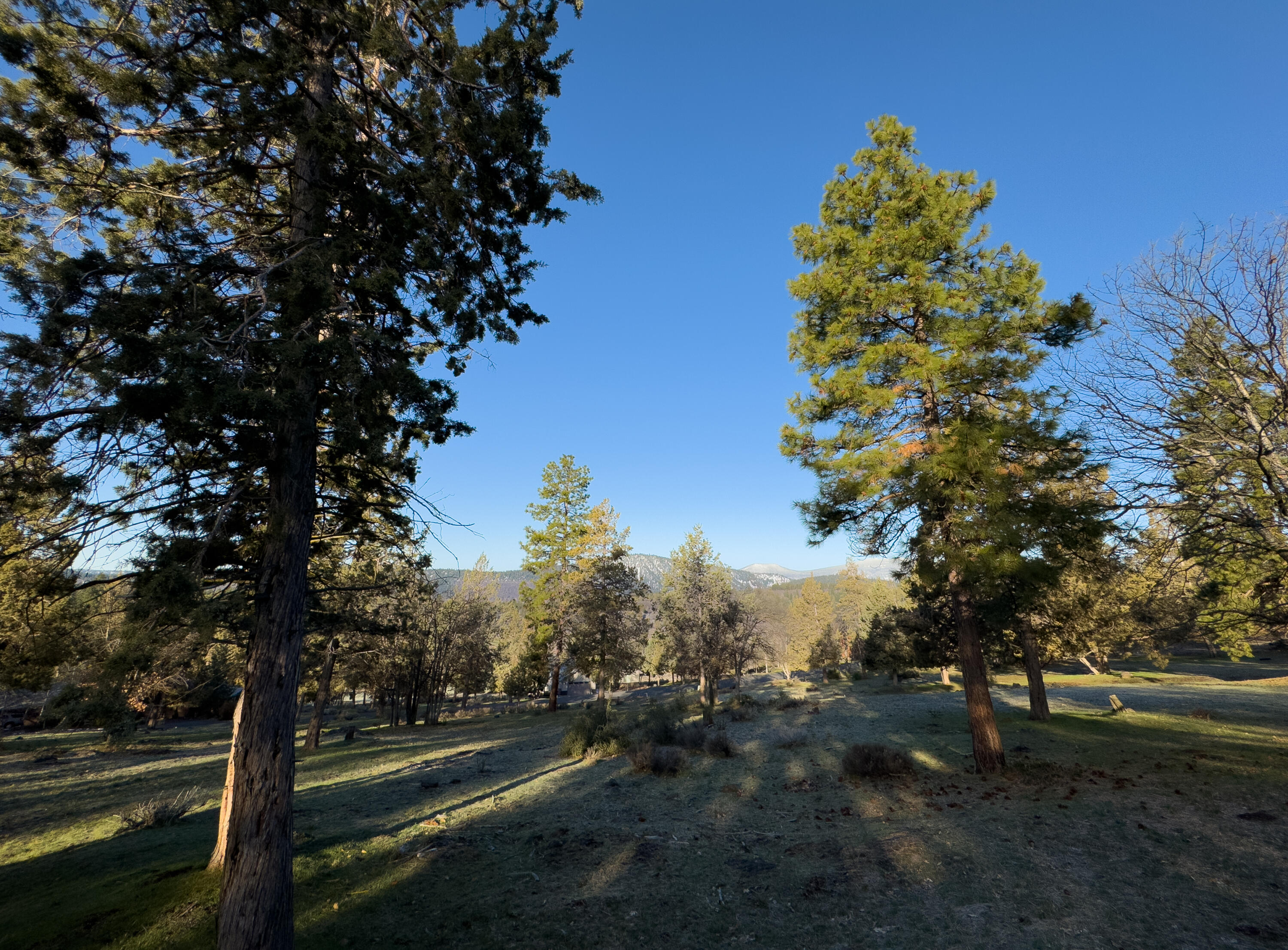 Running YResort - Land