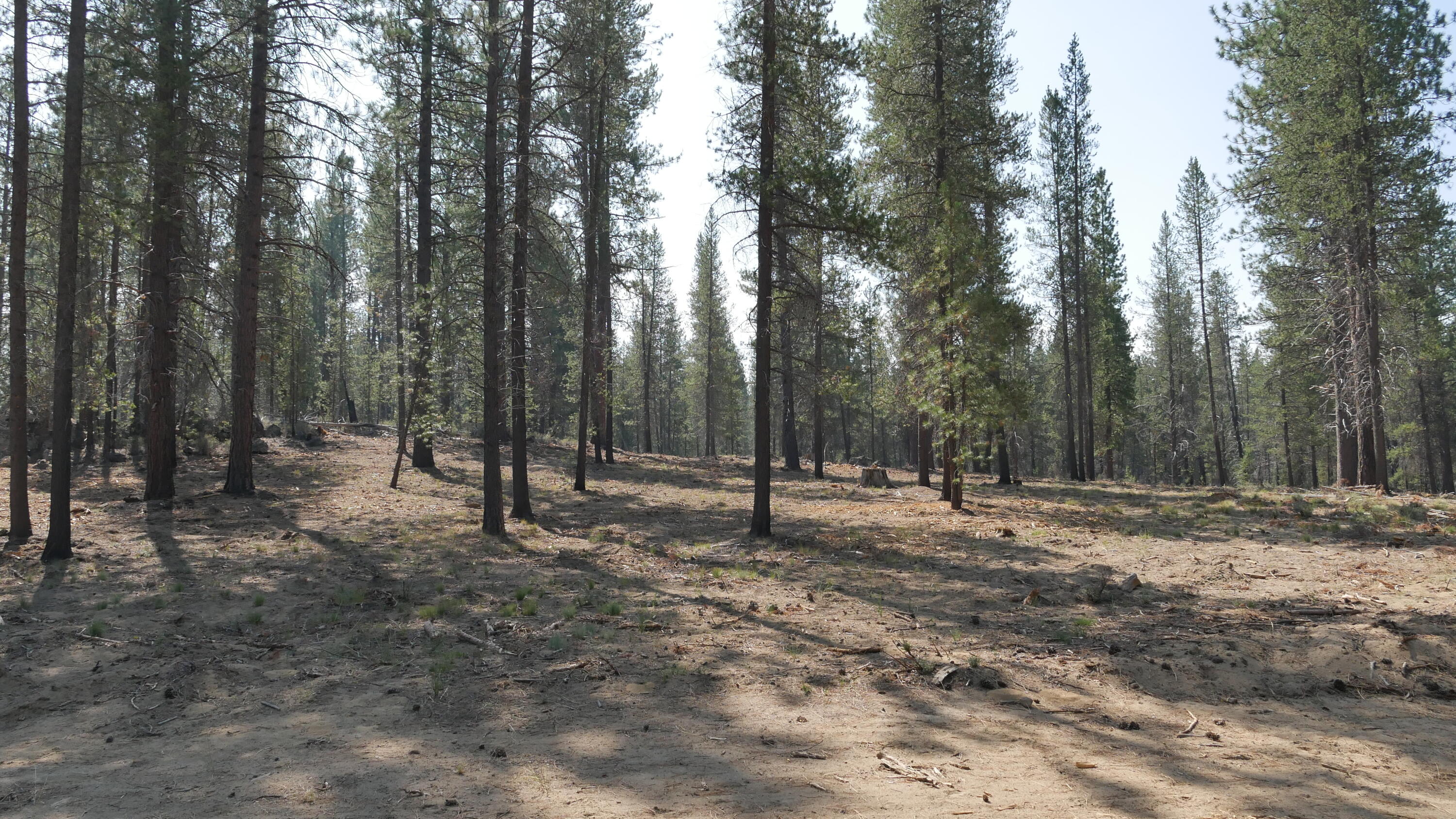 Caldera Springs - Land