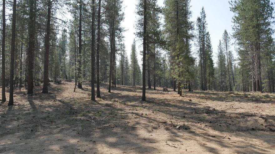 One of the most coveted communities in Central Oregon, the Mirror Rock neighborhood is the first new neighborhood in Caldera Springs since 2007. The expansion of Caldera Springs also includes planned amenities such as a new pool with water slide and family game room. A park featuring pickleball courts, climbing and play structures, small and large dog parks, along with miles of new paved and soft trails that connect to existing pathways and trails throughout Caldera Springs and Sunriver. Homeowners will also have access to Caldera Links, and the popular Sunriver Resort facilities. Taxes are not included. Taxes will be determined after final recorded plat and appointed assessor's parcel number.