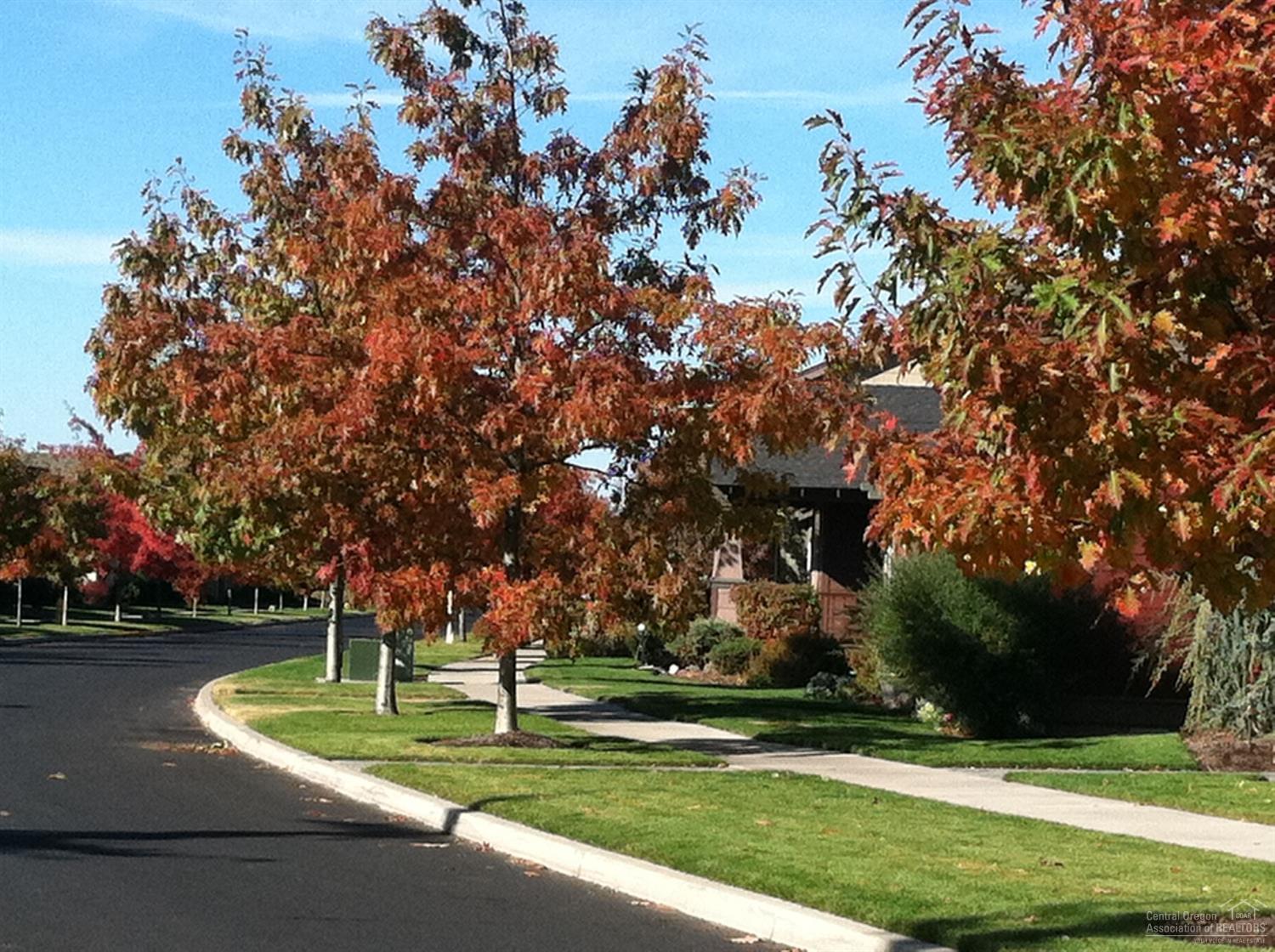 Canyon Rim Village - Land