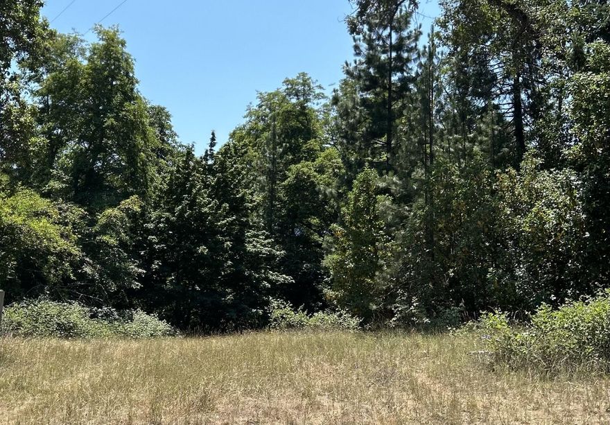Two beautiful tax lots totaling 2.26 acres in the desirable Applegate area! Minutes away
from historic Jacksonville. Build your dream home on this tree-studded private rural property! 25
GPM well already drilled! Owner will carry $15,000 at 6% amortized for 10 years. Buyer to do their own due diligence on property use.