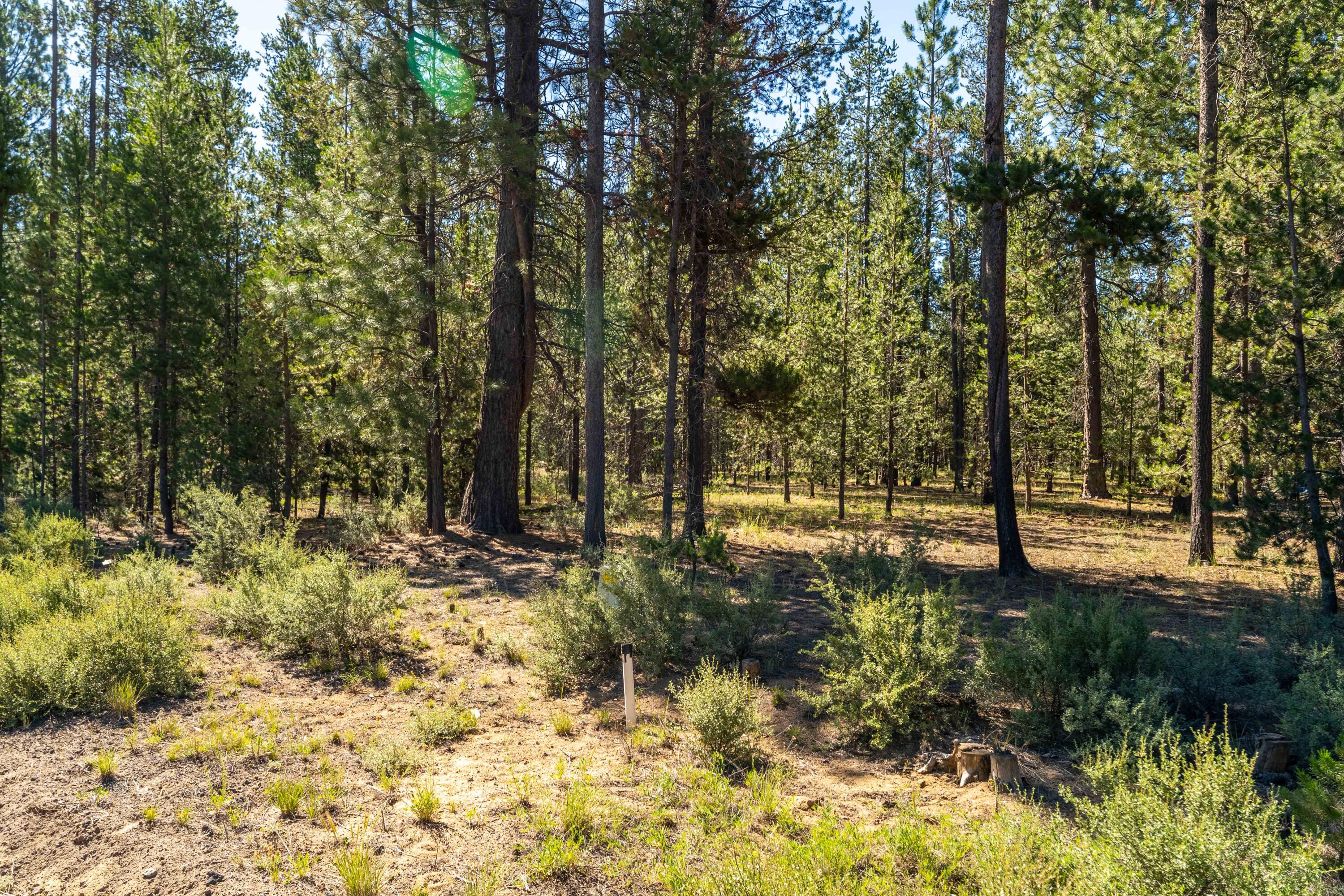 15685 Twin Drive