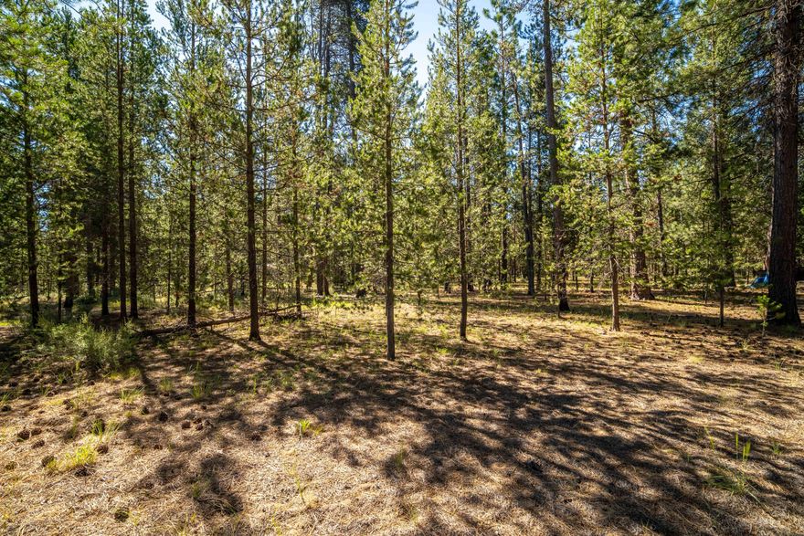 Whether you're dreaming of a full-time residence or a peaceful retreat, this level, 1-acre wooded lot offers the perfect canvas. Nestled among mature trees and just moments from National Forest land, you'll enjoy privacy, serenity, and endless outdoor adventure right at your doorstep. Let your vision come to life in this beautiful Central Oregon setting!