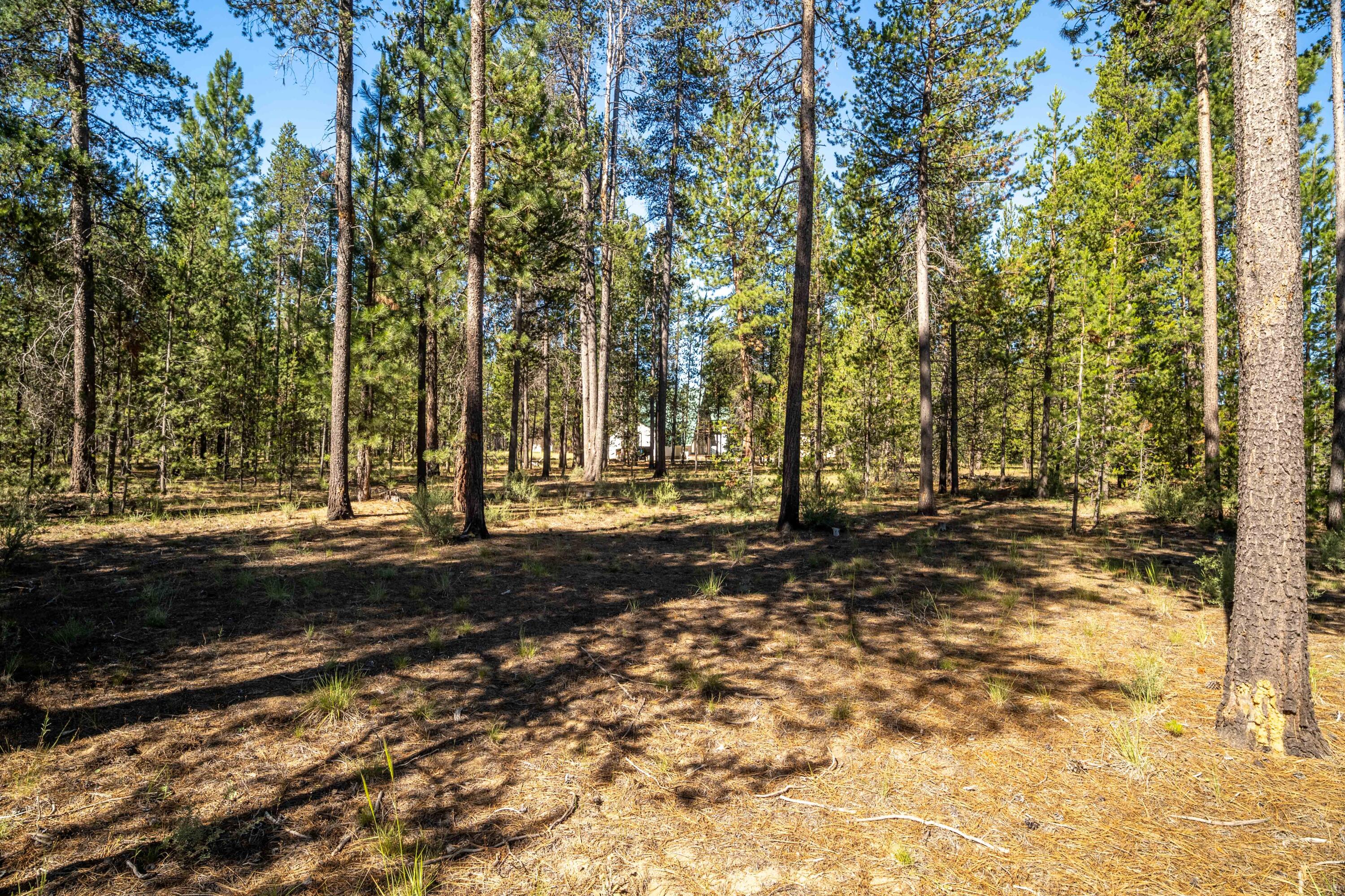 15685 Twin Drive