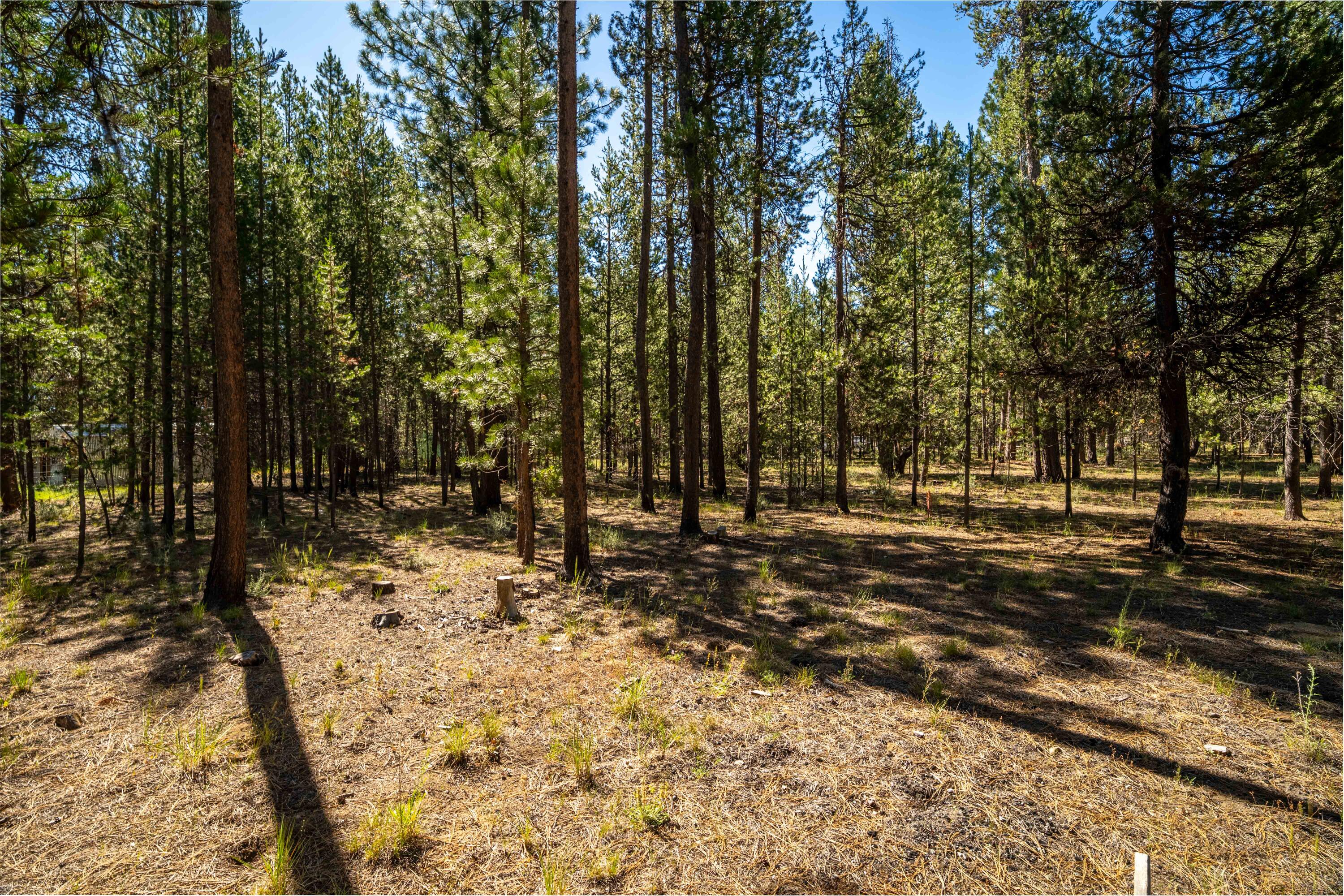 15685 Twin Drive