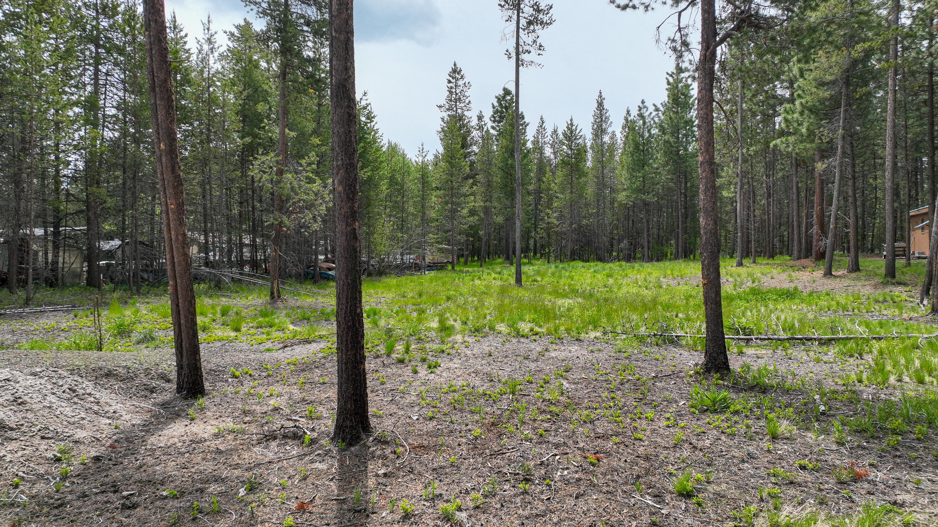 17079 Spring River Road