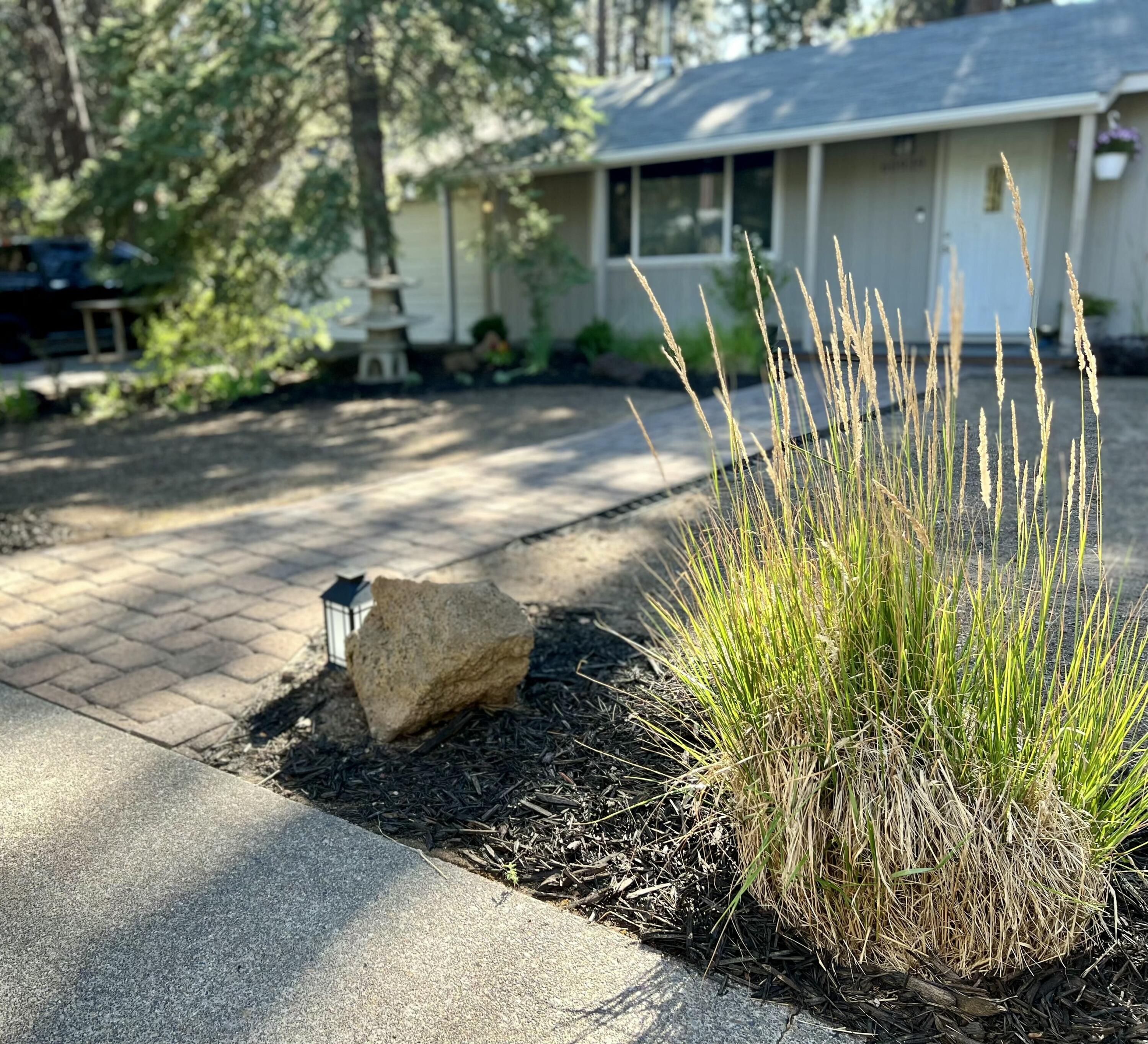 Homestead - Residential