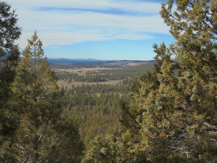 775+/- acres of undeveloped ground. Good deer hunting and elk are present on the property too. Property qualifies for two LOP tags for deer and two LOP tags for elk. Buyer to confirm with ODFW. Own your own private hunting ranch.  Two seasonal creeks, pine trees, mountain mahogany and juniper make this ranch a hunters must see. Merchantable timber on the ranch. 17 tax lots, so lots of options.