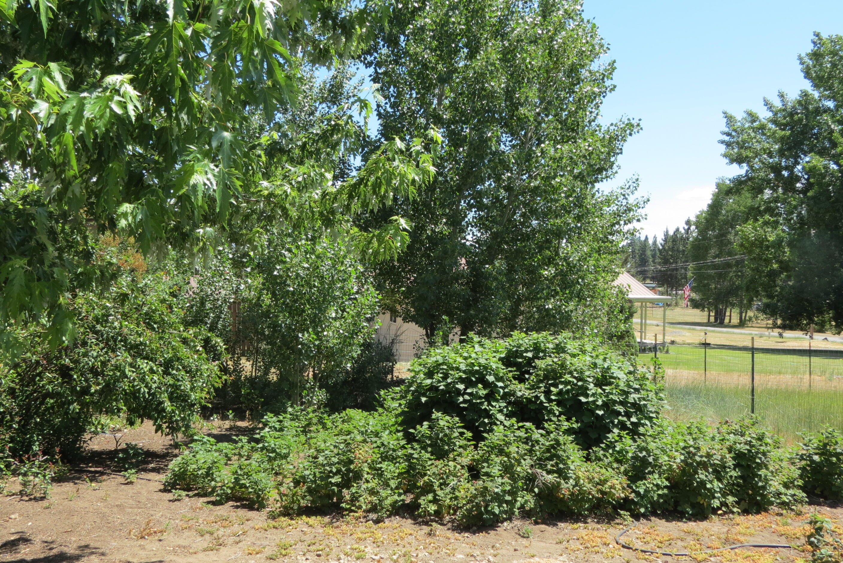 Irish Bend - Residential