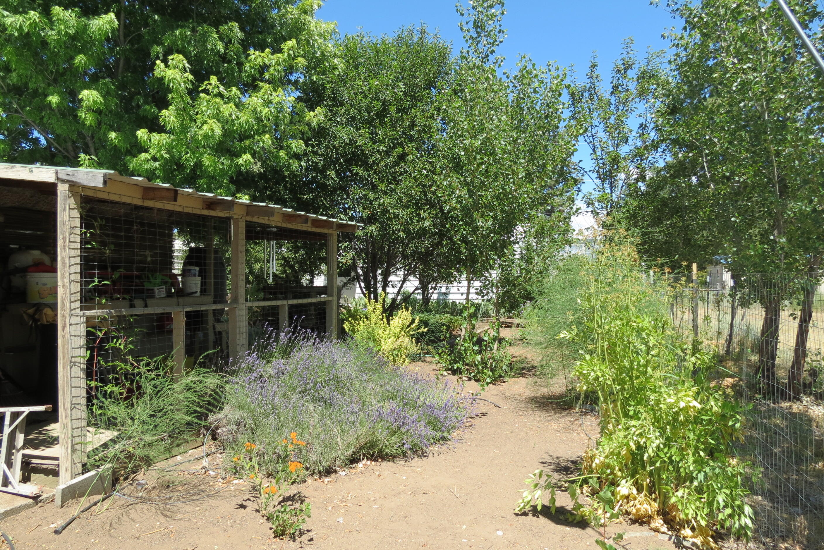 Irish Bend - Residential