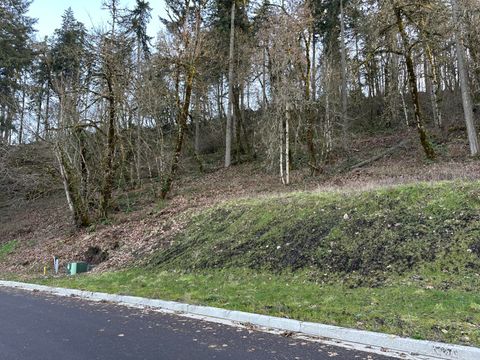 Photo of Cascara Drive #89, Eugene, OR 97403 (MLS # 220215671)