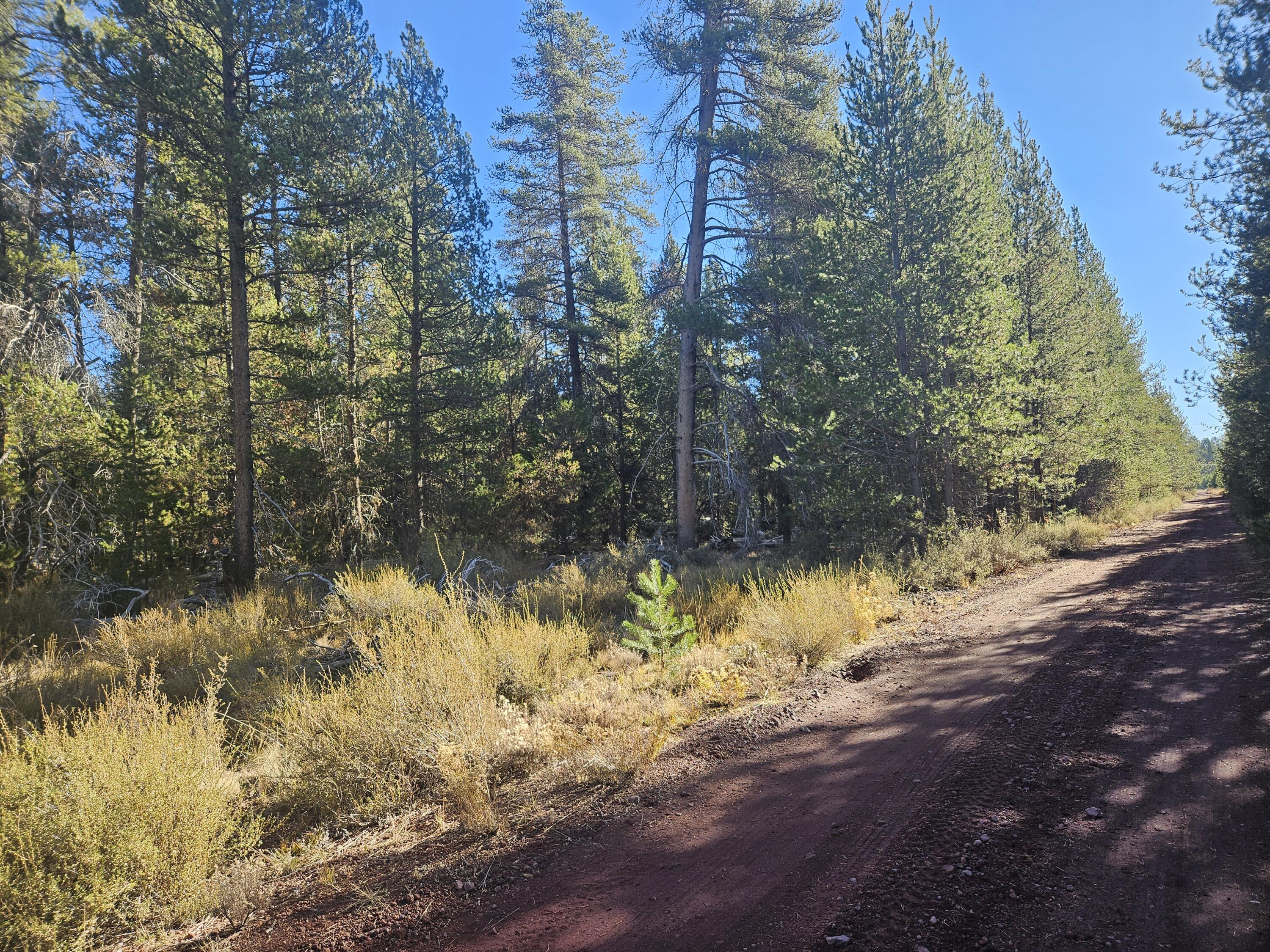 Mt. Scott Meadow - Land