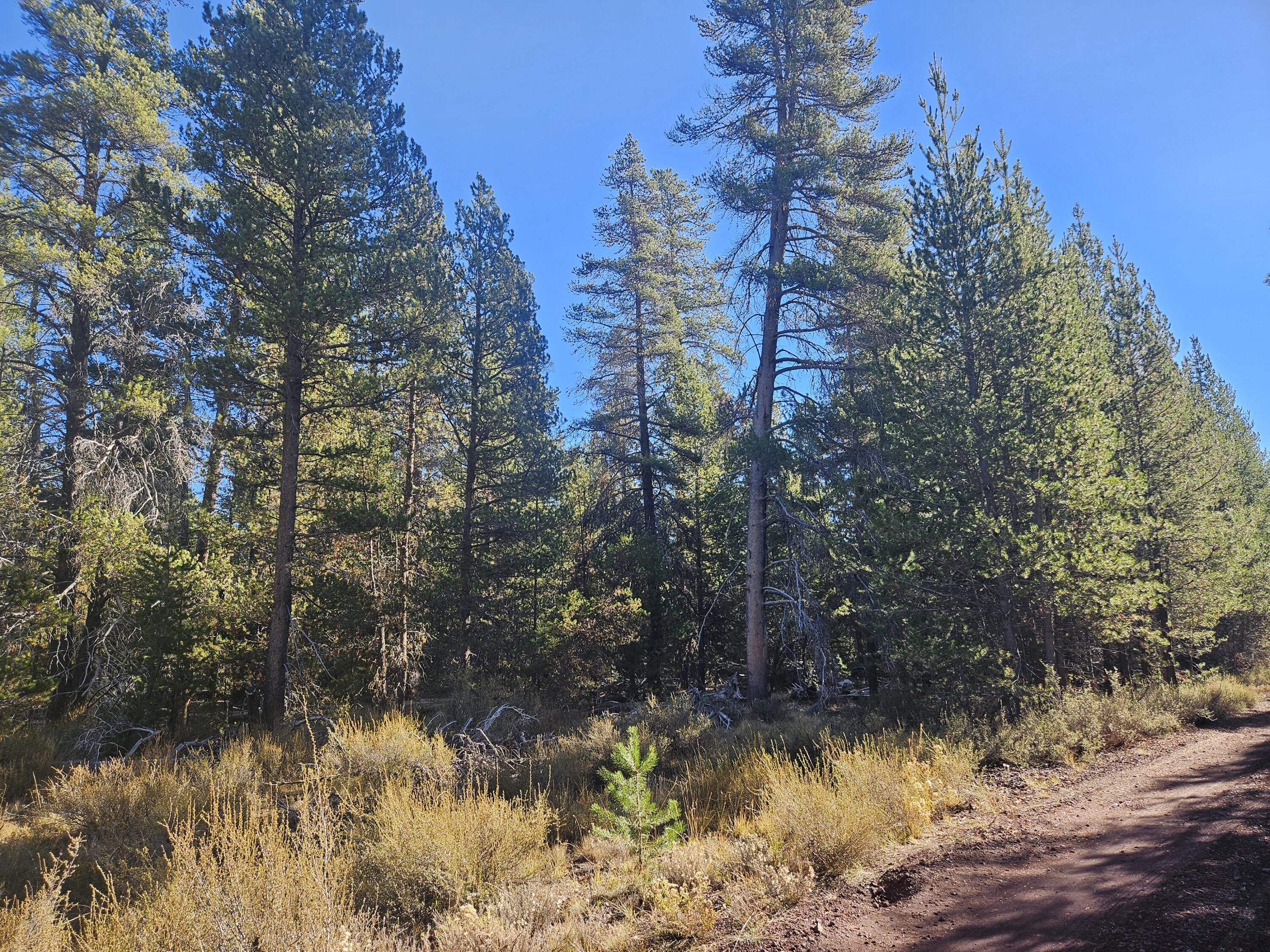 Mt. Scott Meadow - Land