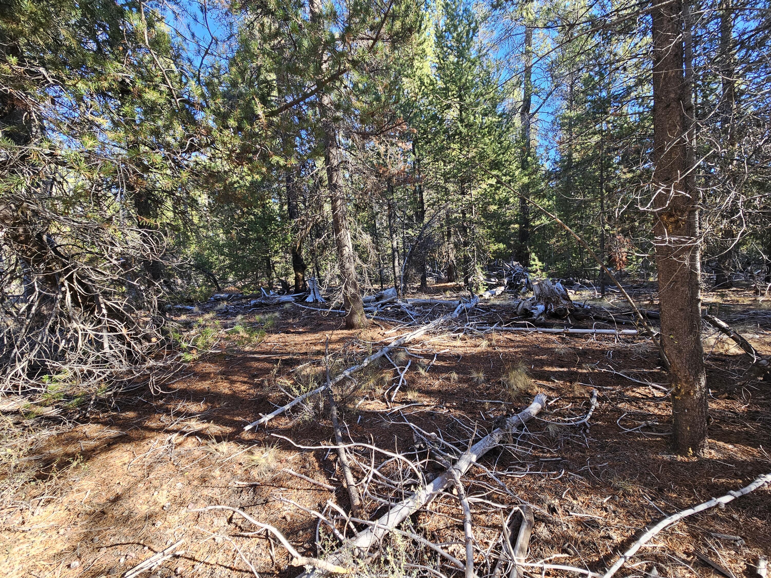 Mt. Scott Meadow - Land