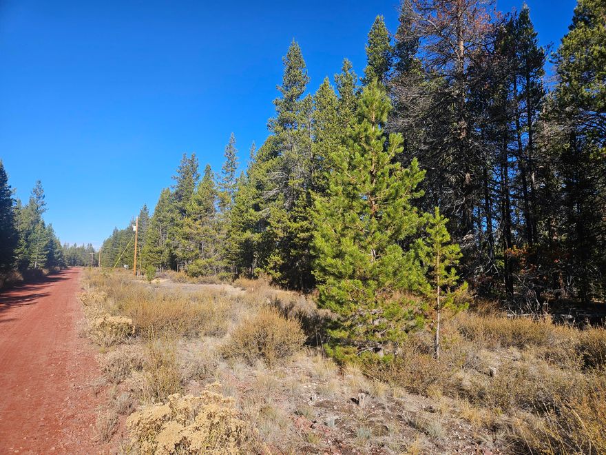 Create your perfect Oregon retreat on this stunning, level, over one-acre parcel in the coveted Mt. Scott Meadows area. Surrounded by peaceful pine trees, this land offers an ideal setting for a permanent residence or a private getaway cabin. Outdoor enthusiasts will appreciate the prime location, offering proximity to all-season recreational activities. Experience world-class fishing at nearby Diamond Lake, incredible bird watching at Klamath Marsh, and the stunning natural beauty of Crater Lake National Park. Priced for a quick sale, this property won't last long, so seize this fantastic opportunity to secure your own slice of the Oregon wilderness today.