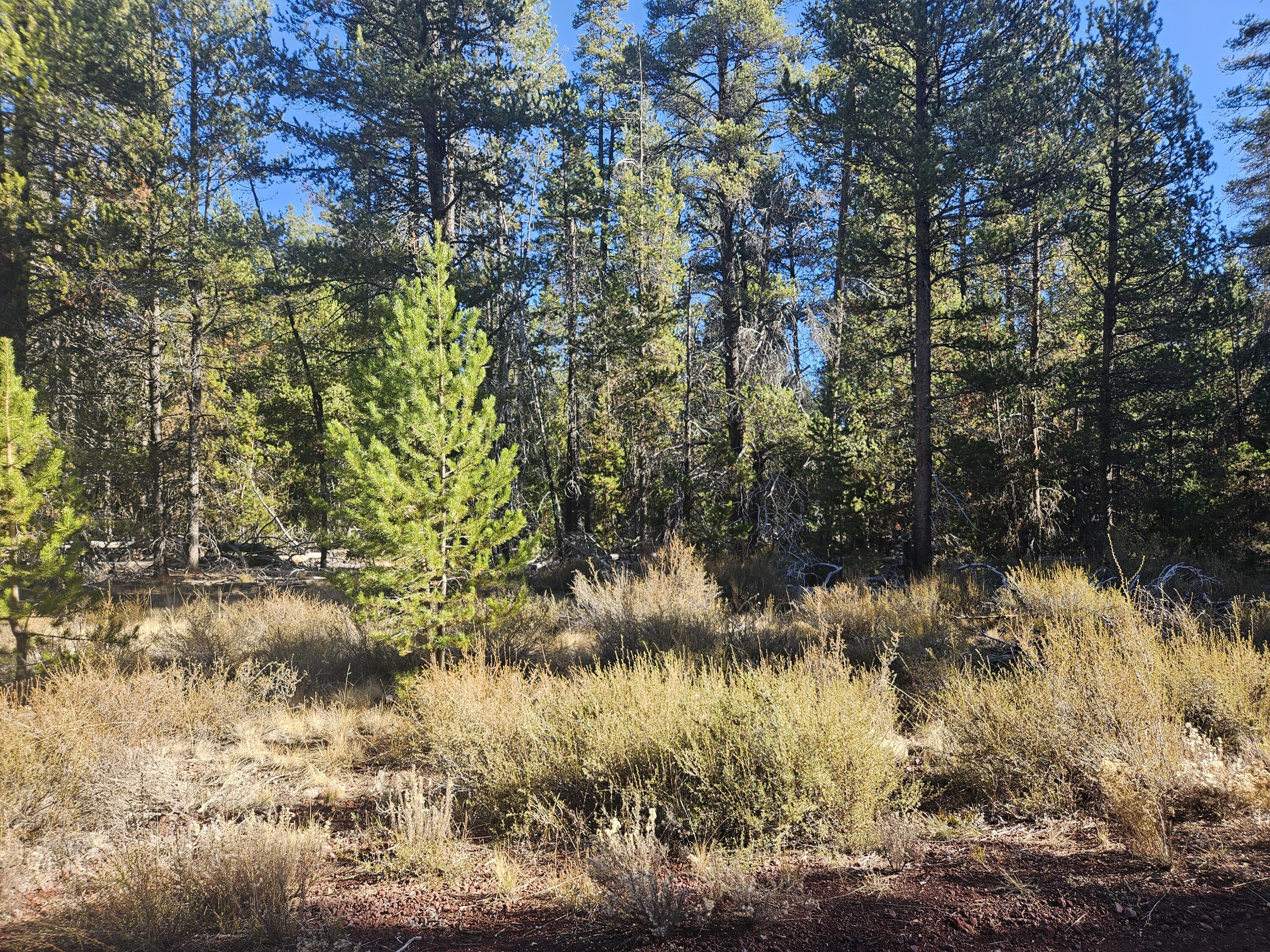 Mt. Scott Meadow - Land