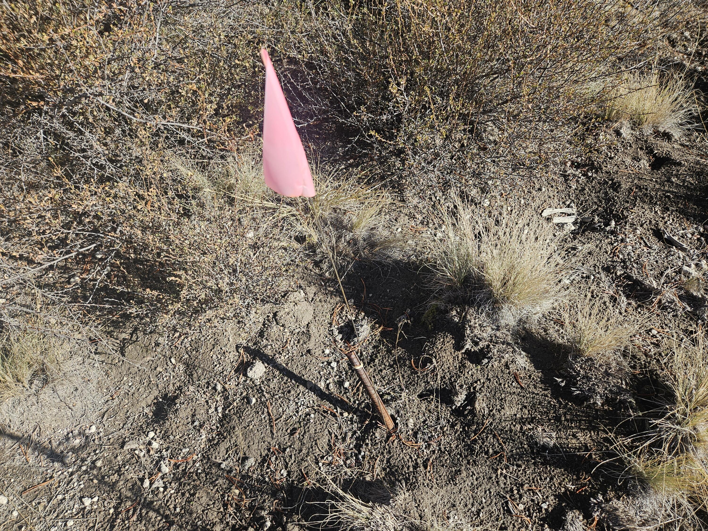 Mt. Scott Meadow - Land