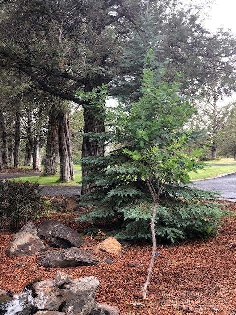 Ridge Indian Ford - Residential