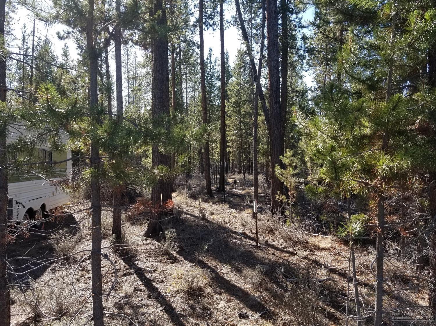 Sun Forest Estates - Land