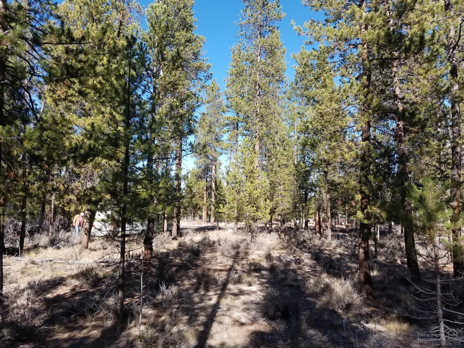 Sun Forest Estates - Land