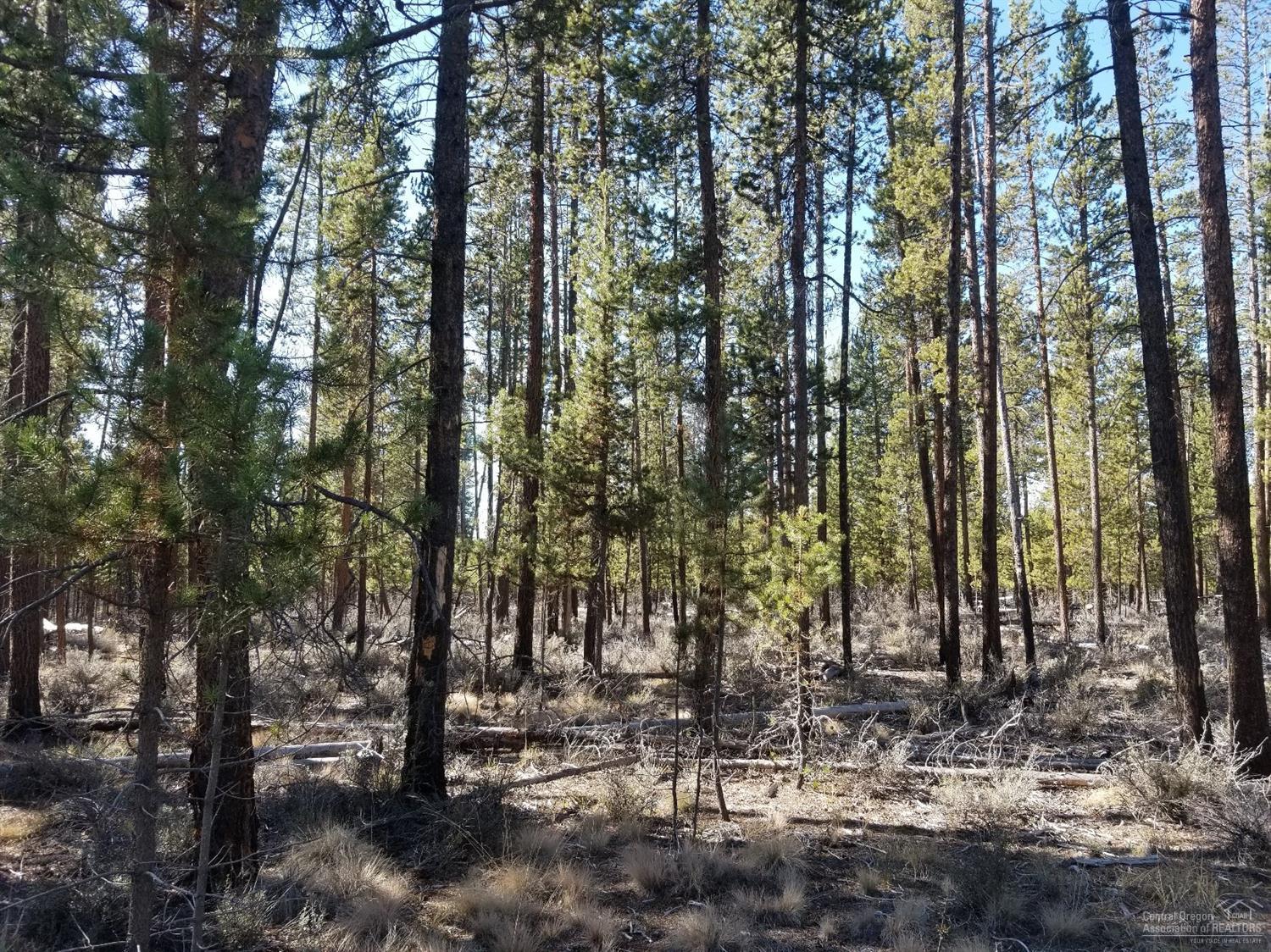 Sun Forest Estates - Land