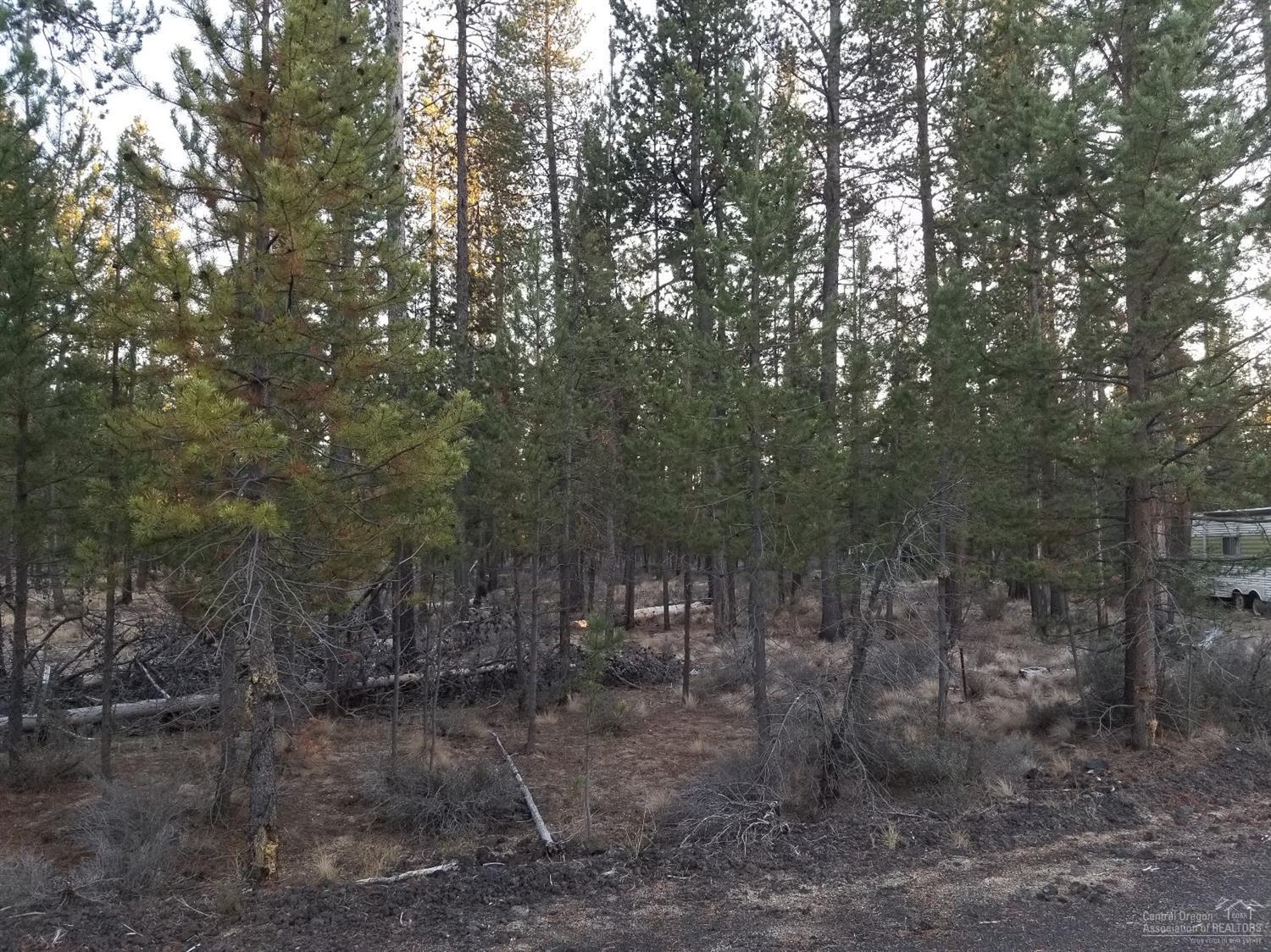 Sun Forest Estates - Land