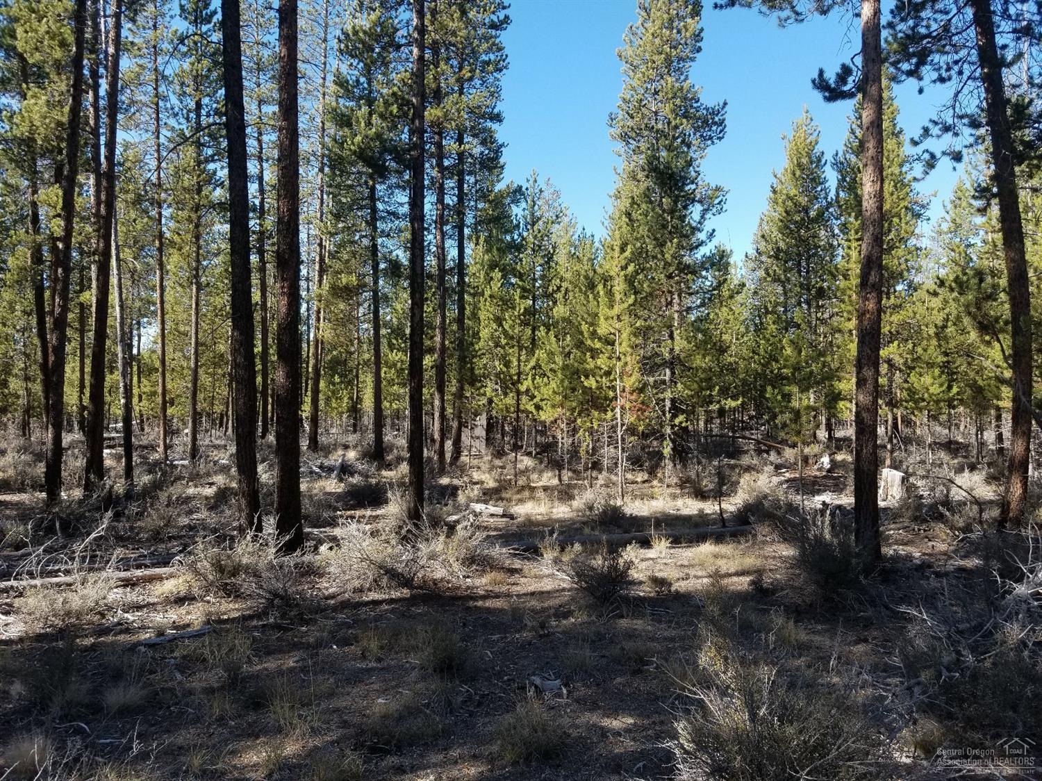 Sun Forest Estates - Land