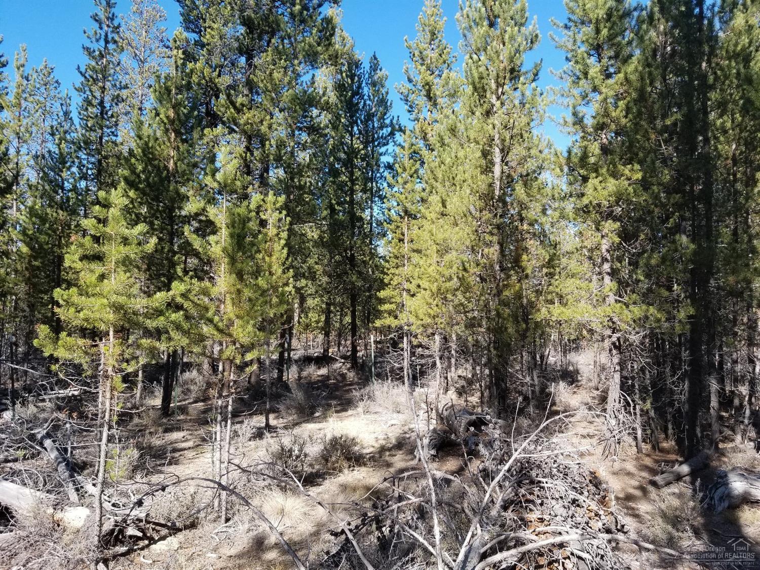 Sun Forest Estates - Land