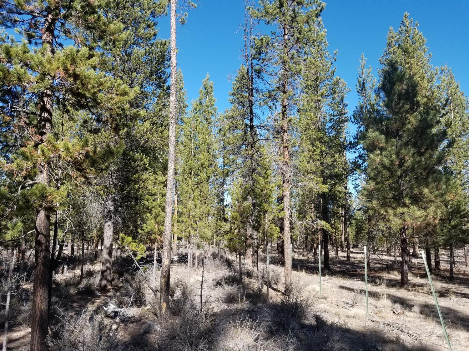 Sun Forest Estates - Land