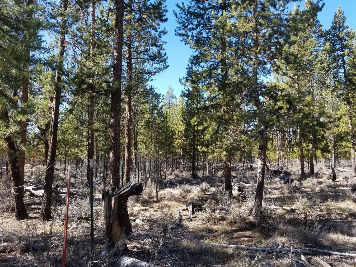 Sun Forest Estates - Land