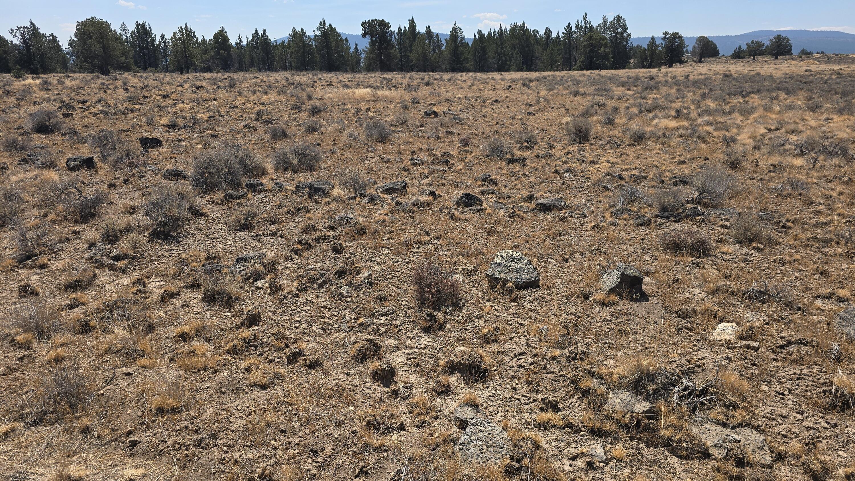 Nimrod River Park - Land