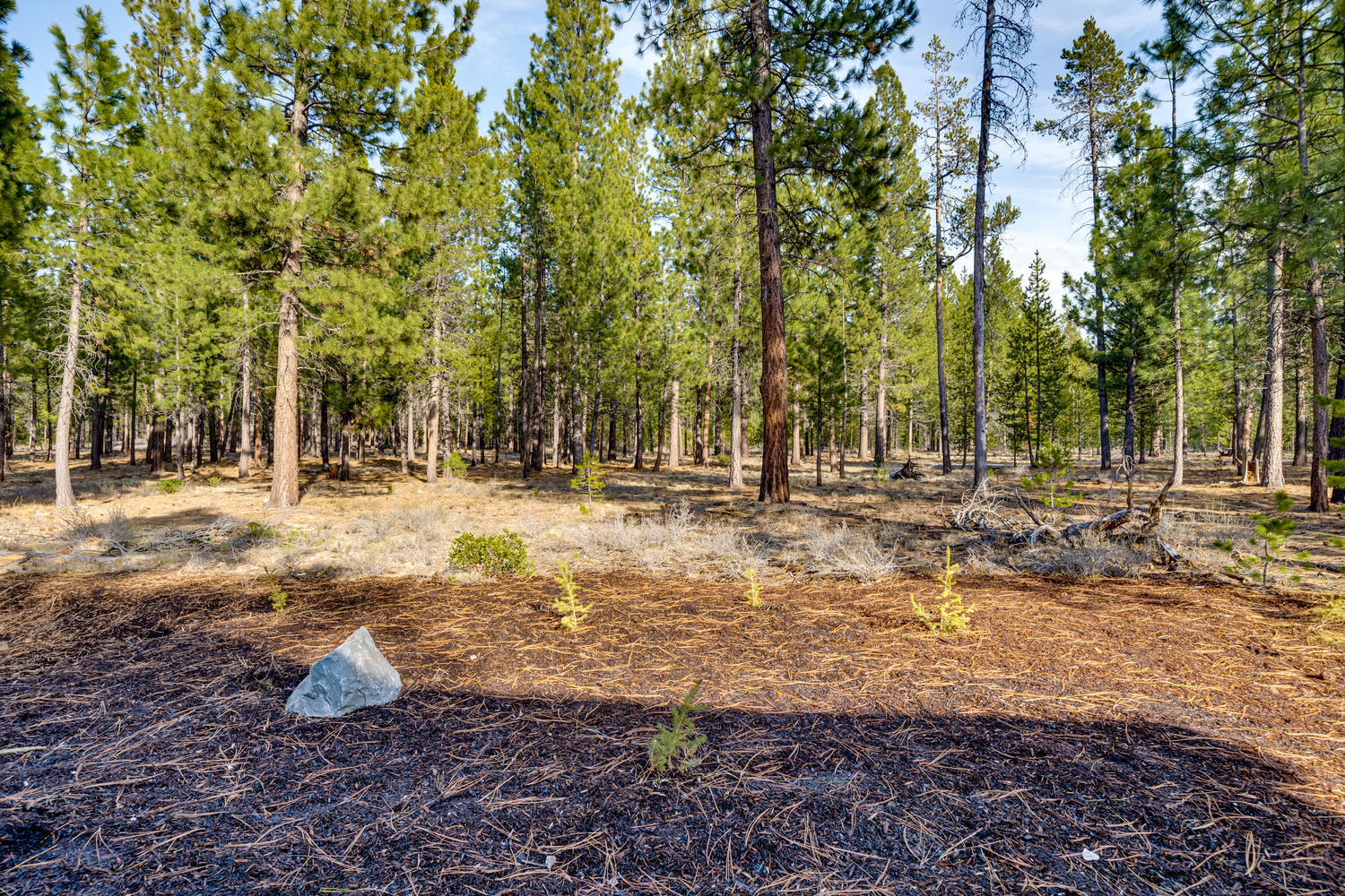 Caldera Springs - Residential