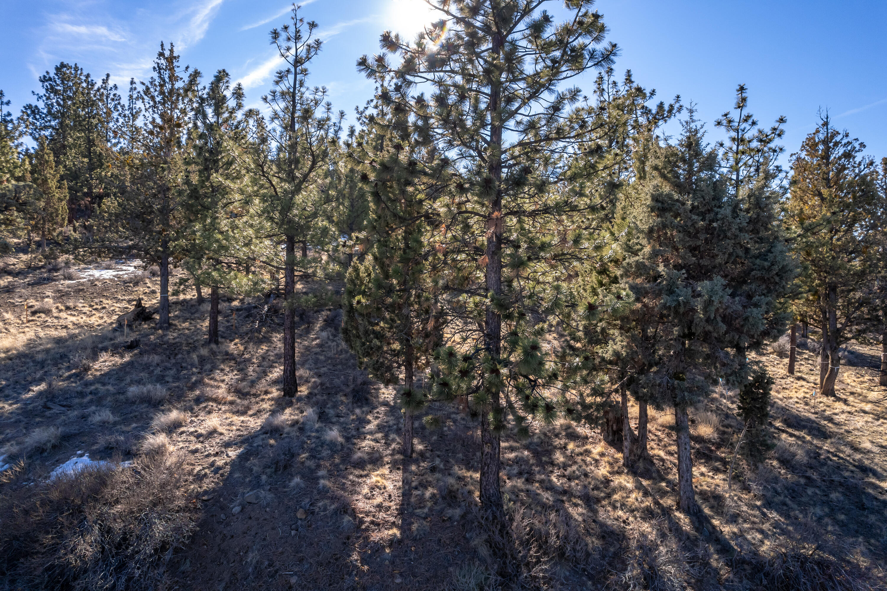 3399 NW Starview Drive