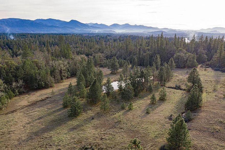 Secluded Large Acreage Parcel in the Illinois Valley with 3 Dwellings! This 80 Acre Property is Beautiful & truly offers something for everyone. Main Home is a Timber-Frame Style Single-Level Home with tons of character. 2nd Home is an older but well-kept Double-Wide Mobile, & the 3rd Home is a very old Single-Wide Mobile with Frame-Built addition. Legality of all three Homes is to be determined, but from initial research it appears the Frame Built & Single-Wide are allowed. Buyer to perform their own Due Diligence. Each Home is located separately on the property & offers Privacy from one another. This Property offers an Inviting Mix of Terrains, including Rolling Meadows, Mature Forest, & some Pretty Views. A Lovely Year 'Round Creek bisects the Property, & a Fantastic Year 'Round Pond is located in the Large Meadow. Numerous Outbuildings, 2 Wells, & 3 Power Meters. The Property Directly Borders BLM to the Northwest, for endless Recreation Opportunities. This one is Truly Special!