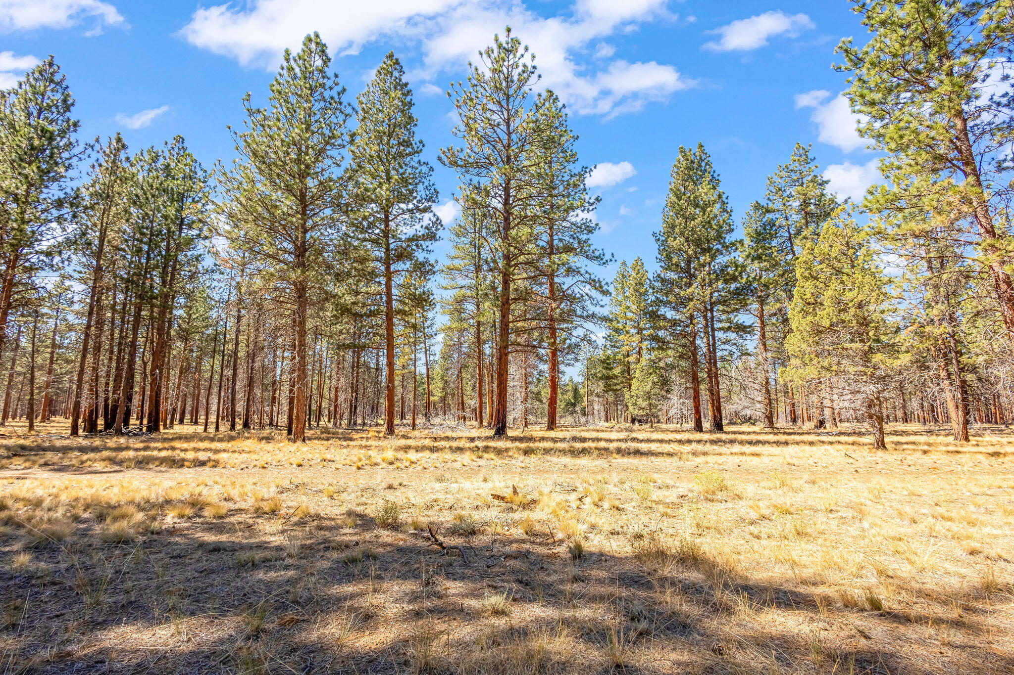 Sage Meadow - Residential