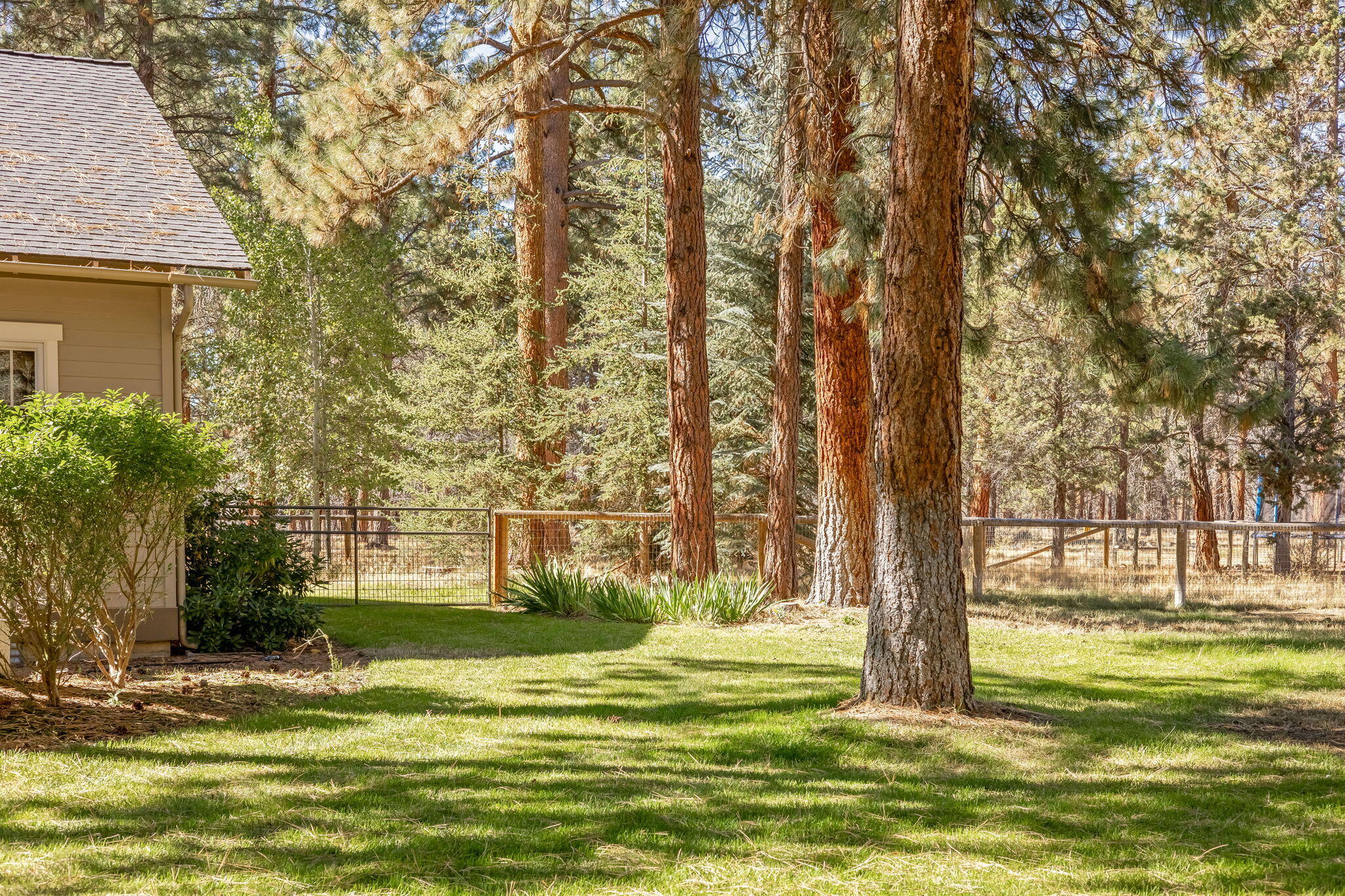 Sage Meadow - Residential