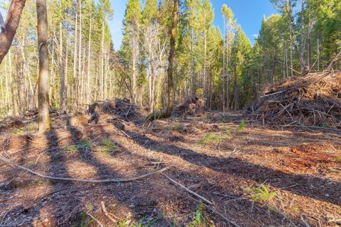 Tiny photo for 101 Three Mill Road, Selma, OR 97538 (MLS # 220212467)