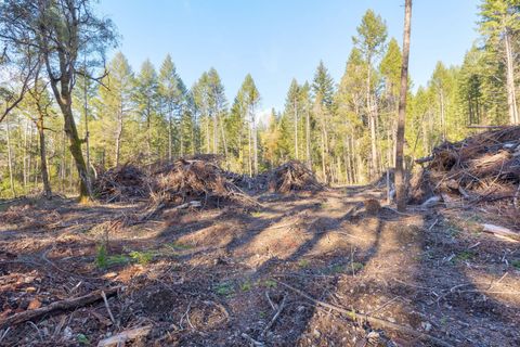 Tiny photo for 101 Three Mill Road, Selma, OR 97538 (MLS # 220212467)