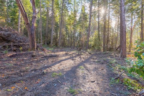 Tiny photo for 101 Three Mill Road, Selma, OR 97538 (MLS # 220212467)