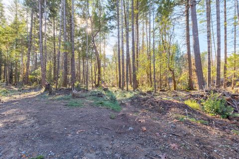 Tiny photo for 101 Three Mill Road, Selma, OR 97538 (MLS # 220212467)