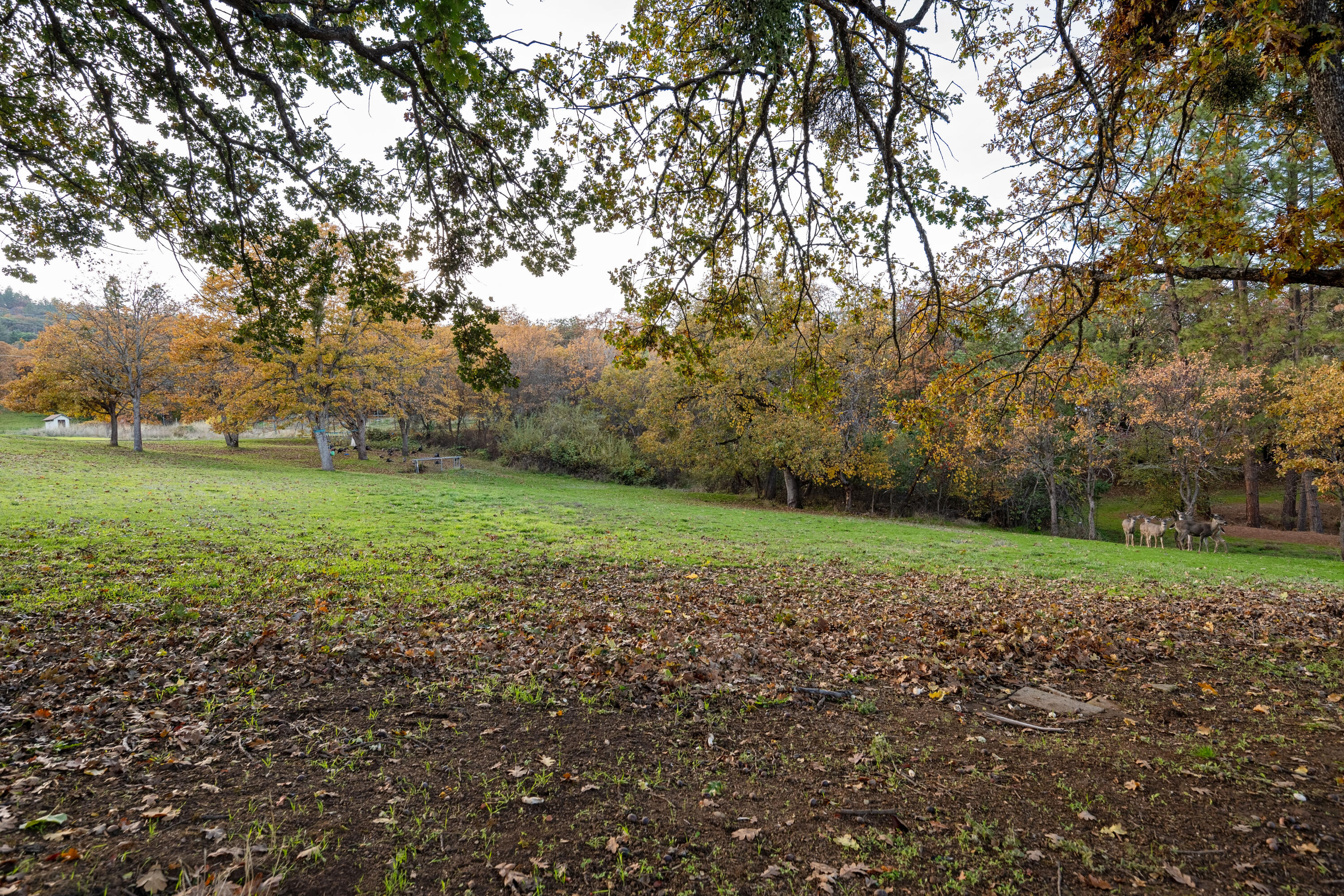 Clymer Heights - Residential