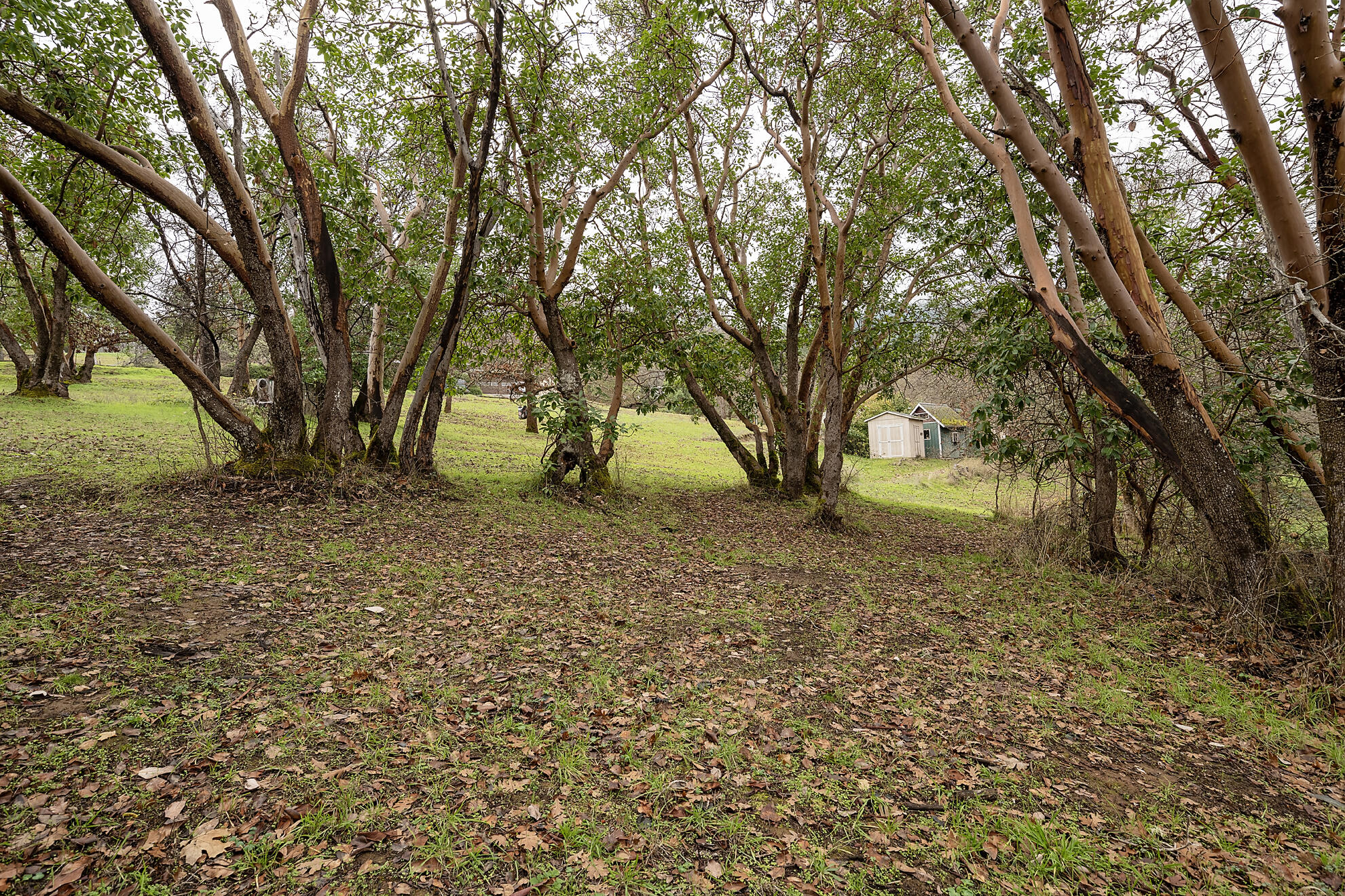 Clymer Heights - Residential