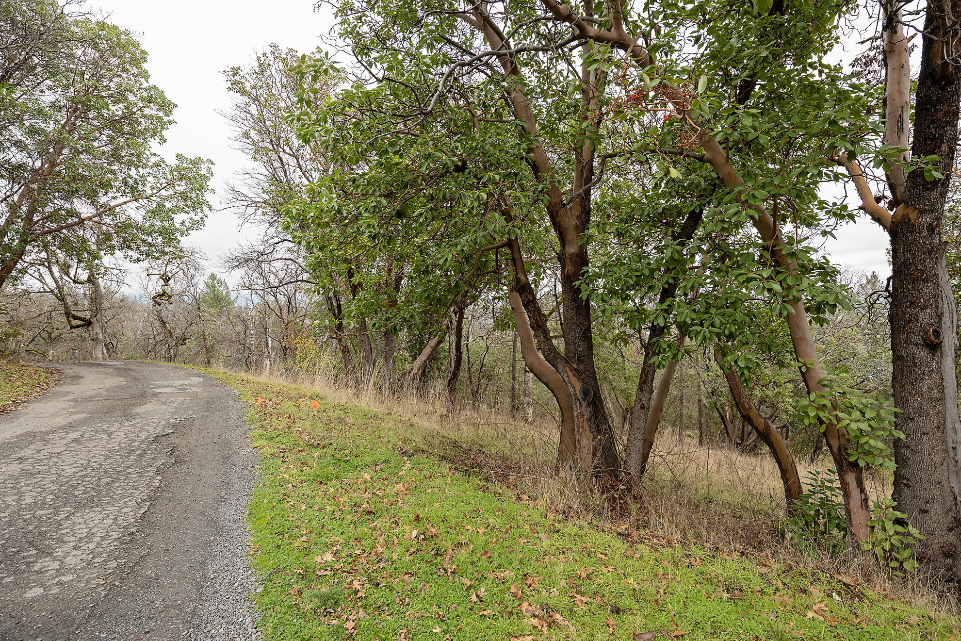 Clymer Heights - Residential