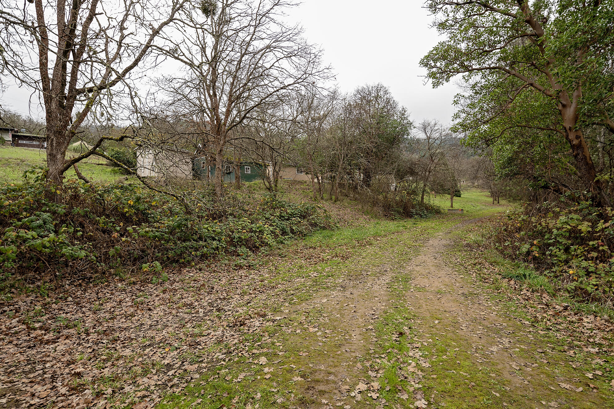 Clymer Heights - Residential