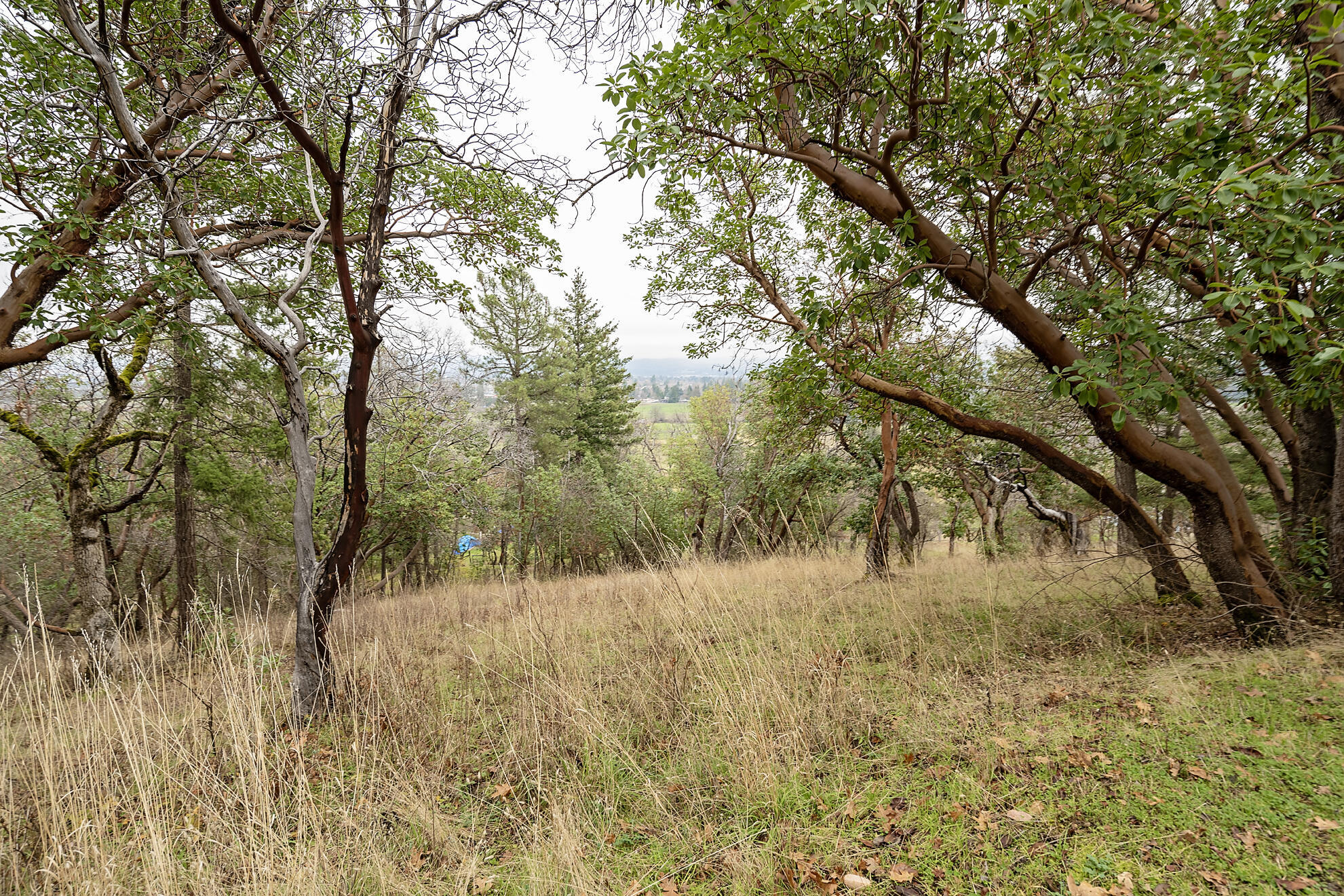 Clymer Heights - Residential