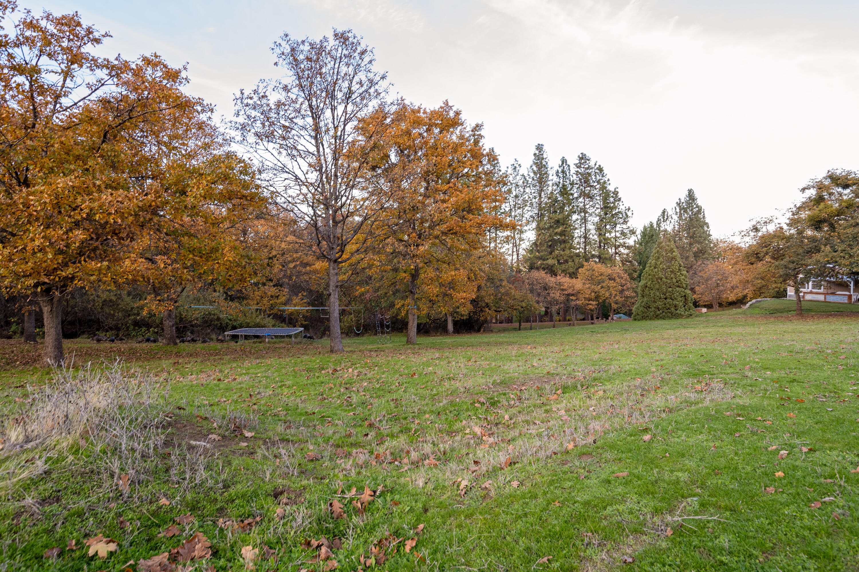 Clymer Heights - Residential