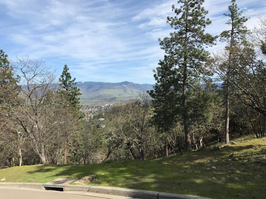 Incredible opportunity to build your dream home on this half acre view lot. The lot backs up to 4.5 acres of open space and just steps away from the trail network of north Ashland. Mature oak and conifer trees add to the character of this lot so your home will have an established feel from the beginning. Within city limits so water, sewer, cable and phone lines are already stubbed to the property. All of this while just a short distance to Lithia Park and the delights of downtown Ashland.